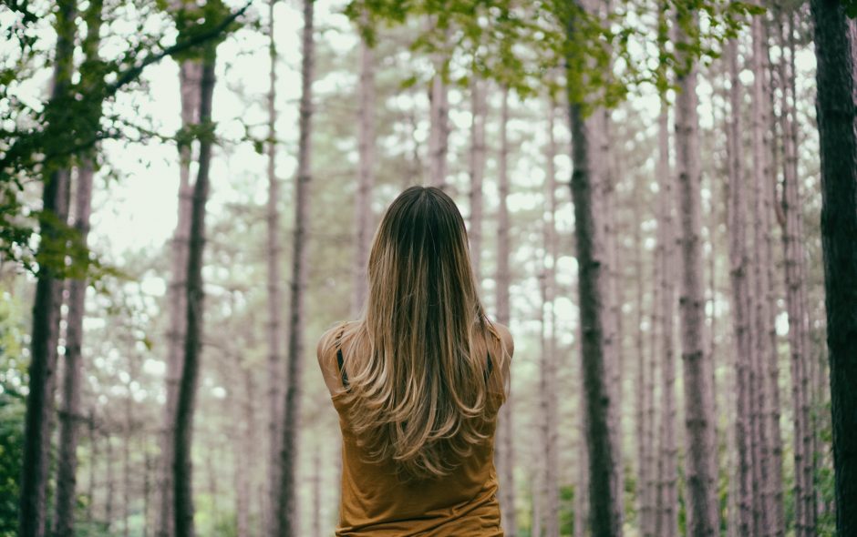 In the wood