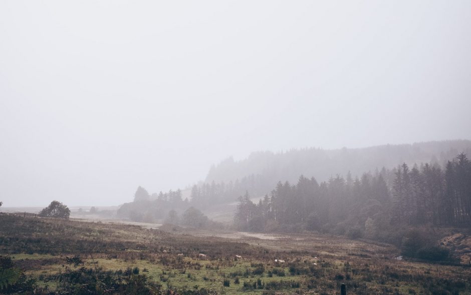 The air is grey today