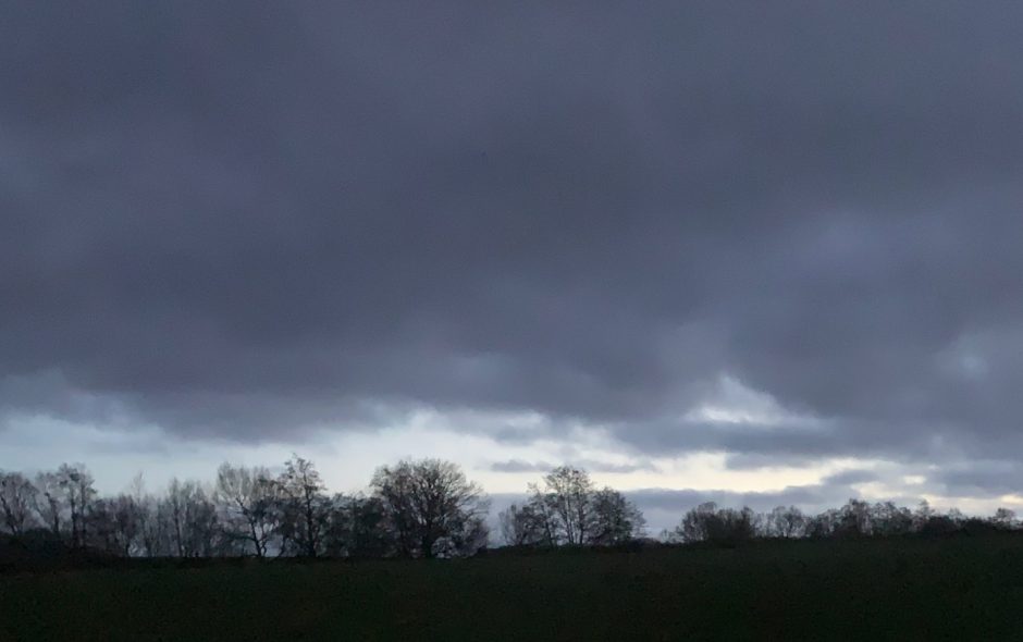 School of Clouds