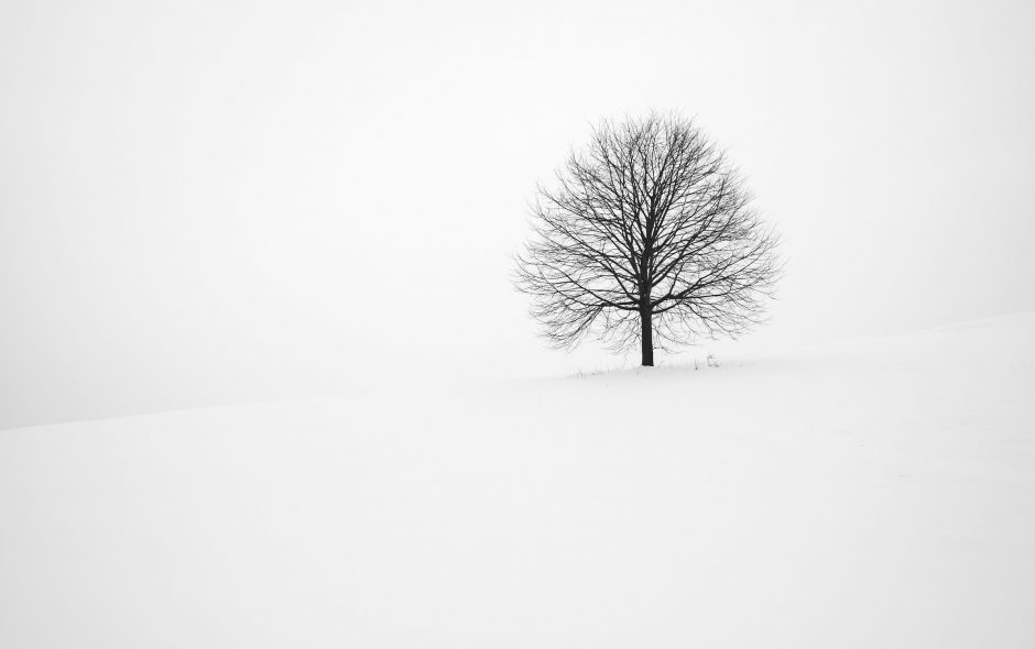 Let the winter be